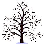 Elmtree!